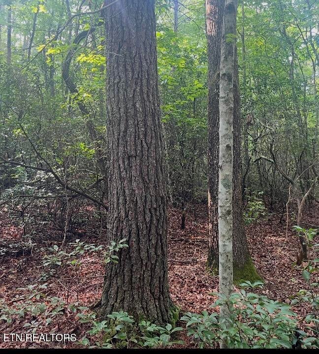 Photo of Lower Smithfield Rd, Tellico Plains, TN 37385 (MLS # 1350423)