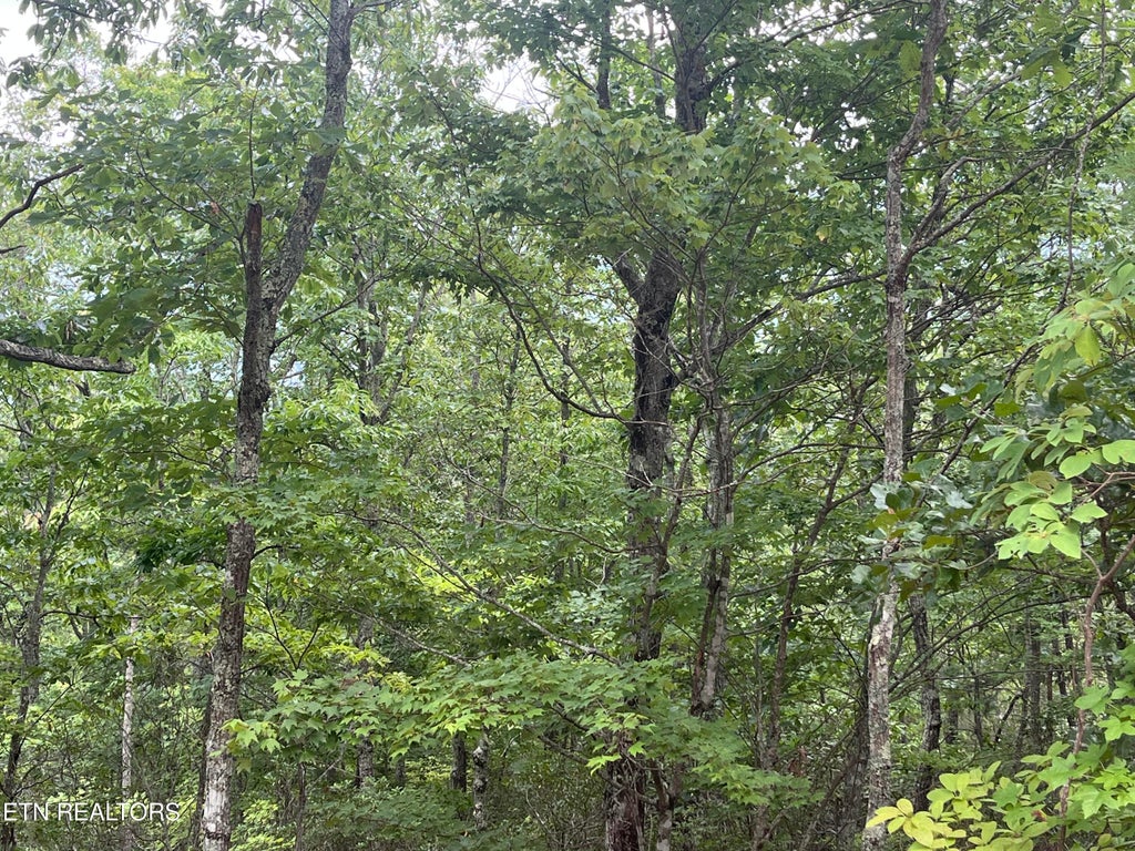 Photo of Lower Smithfield Rd, Tellico Plains, TN 37385 (MLS # 1350423)