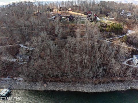 Tiny photo for SW Hiawatha Drive, Jacksboro, TN 37757 (MLS # 1324413)