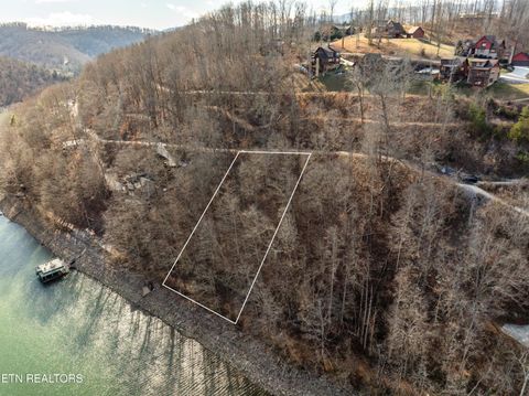 SW Hiawatha Drive Jacksboro TN 37757