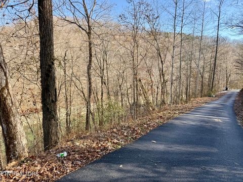 Tiny photo for SW Hiawatha Drive, Jacksboro, TN 37757 (MLS # 1324413)