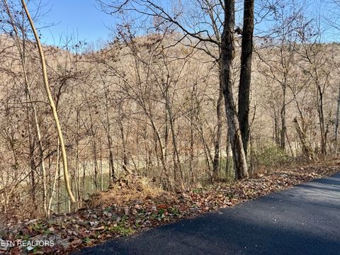 Tiny photo for SW Hiawatha Drive, Jacksboro, TN 37757 (MLS # 1324413)