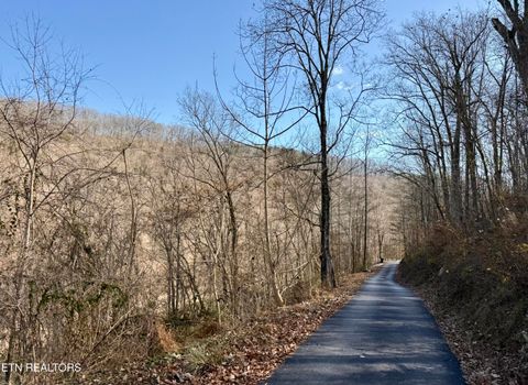 Tiny photo for SW Hiawatha Drive, Jacksboro, TN 37757 (MLS # 1324413)