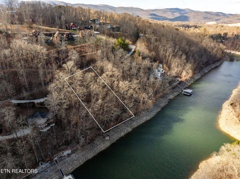 Tiny photo for SW Hiawatha Drive, Jacksboro, TN 37757 (MLS # 1324413)