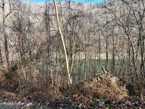 Tiny photo for SW Hiawatha Drive, Jacksboro, TN 37757 (MLS # 1324413)