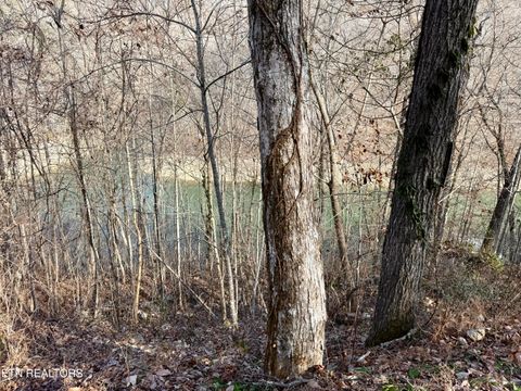 Tiny photo for SW Hiawatha Drive, Jacksboro, TN 37757 (MLS # 1324413)