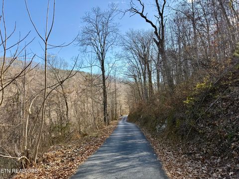 Tiny photo for SW Hiawatha Drive, Jacksboro, TN 37757 (MLS # 1324413)