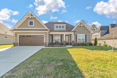 Photo of 295 Bittersweet Lane, Lenoir City, TN 37771 (MLS # 1338177)