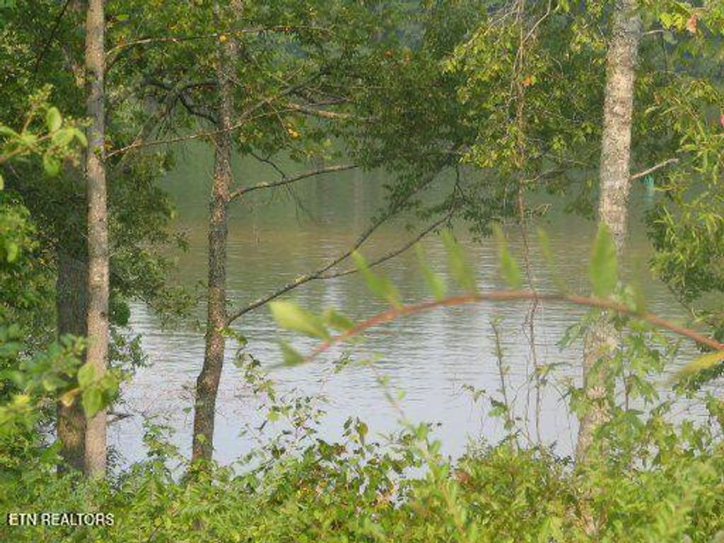 Photo of 123 Emory Cove Drive, Harriman, TN 37748 (MLS # 1299753)