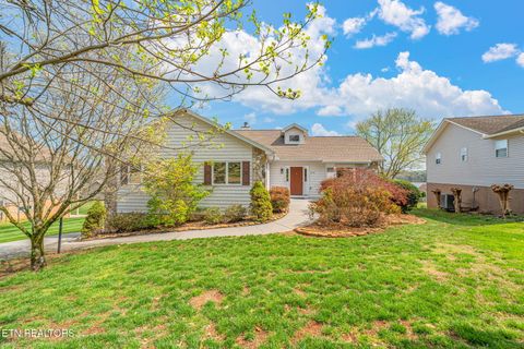 Photo of 318 Cheestana Way, Loudon, TN 37774 (MLS # 1334314)