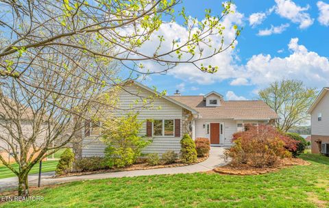 Photo of 318 Cheestana Way, Loudon, TN 37774 (MLS # 1334314)