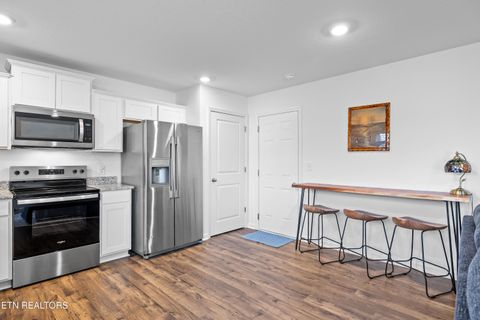 Tiny photo for 6752 Tall Shadow Lane, Knoxville, TN 37938 (MLS # 1327164)