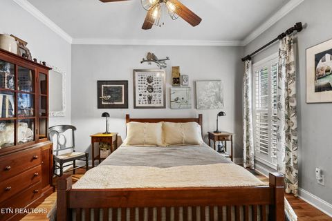 Tiny photo for 541 Glen Abbey Blvd, Knoxville, TN 37934 (MLS # 1317567)