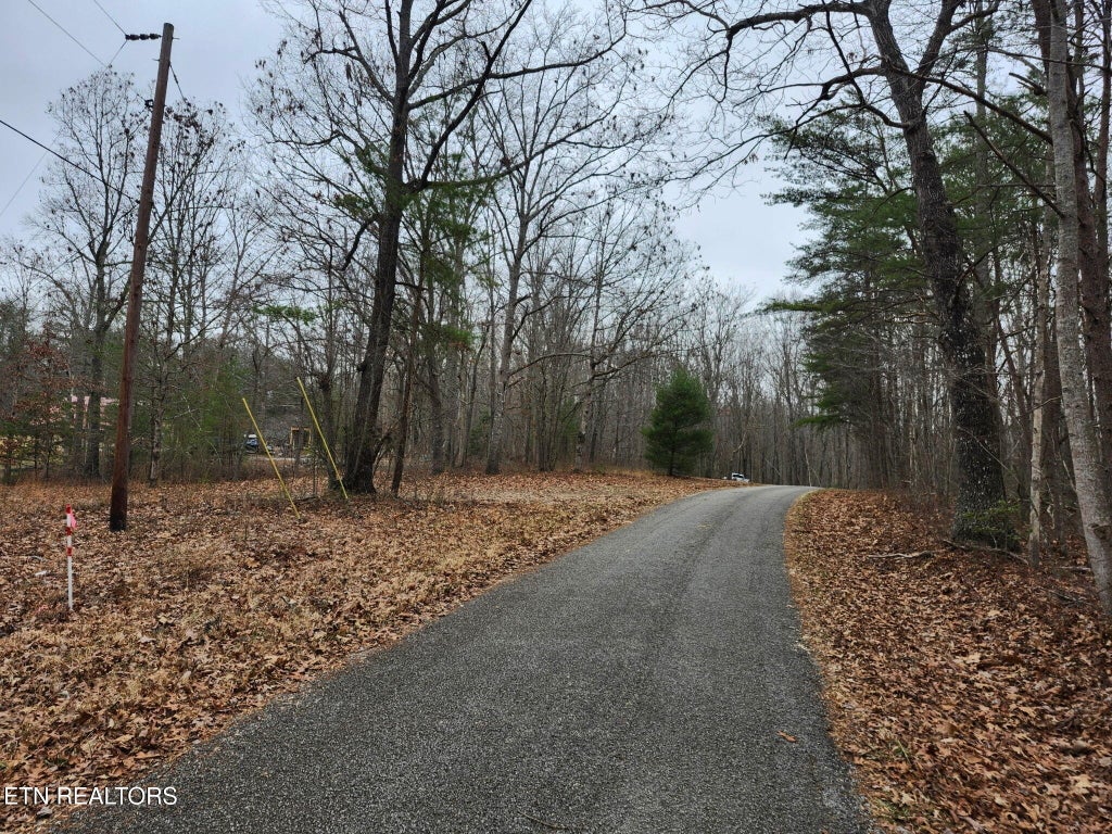 Photo of Peacock Rd, Deer Lodge, TN 37726 (MLS # 1349959)