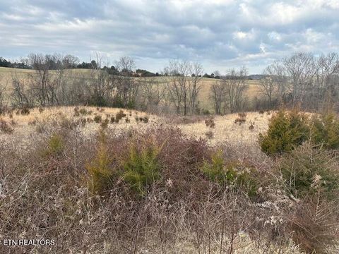 Tiny photo for 000 Old Parrottsville Hwy, Parrottsville, TN 37843 (MLS # 1329278)