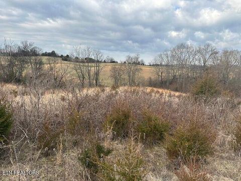 Tiny photo for 000 Old Parrottsville Hwy, Parrottsville, TN 37843 (MLS # 1329278)