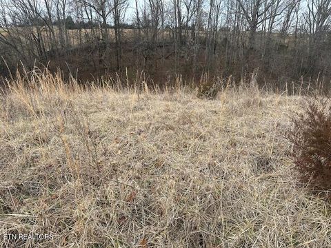 Tiny photo for 000 Old Parrottsville Hwy, Parrottsville, TN 37843 (MLS # 1329278)