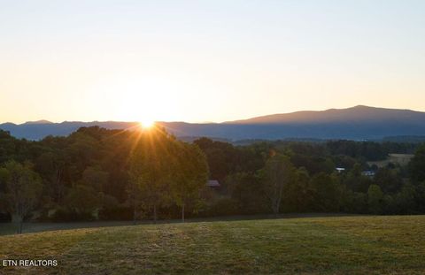 Tiny photo for Lot 16 Moody Moon Ridge Way, Newport, TN 37821 (MLS # 1331959)