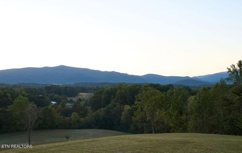 Tiny photo for Lot 16 Moody Moon Ridge Way, Newport, TN 37821 (MLS # 1331959)