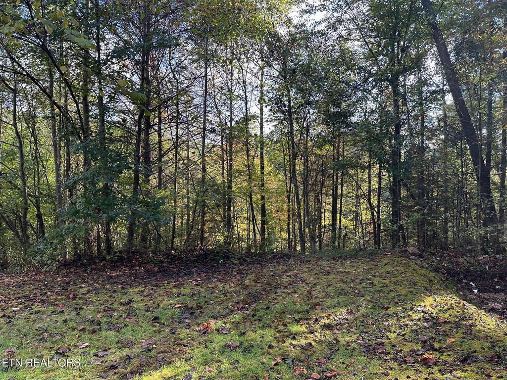Photo of 1423 Mountain Dreams Way, Sevierville, TN 37862 (MLS # 1331515)