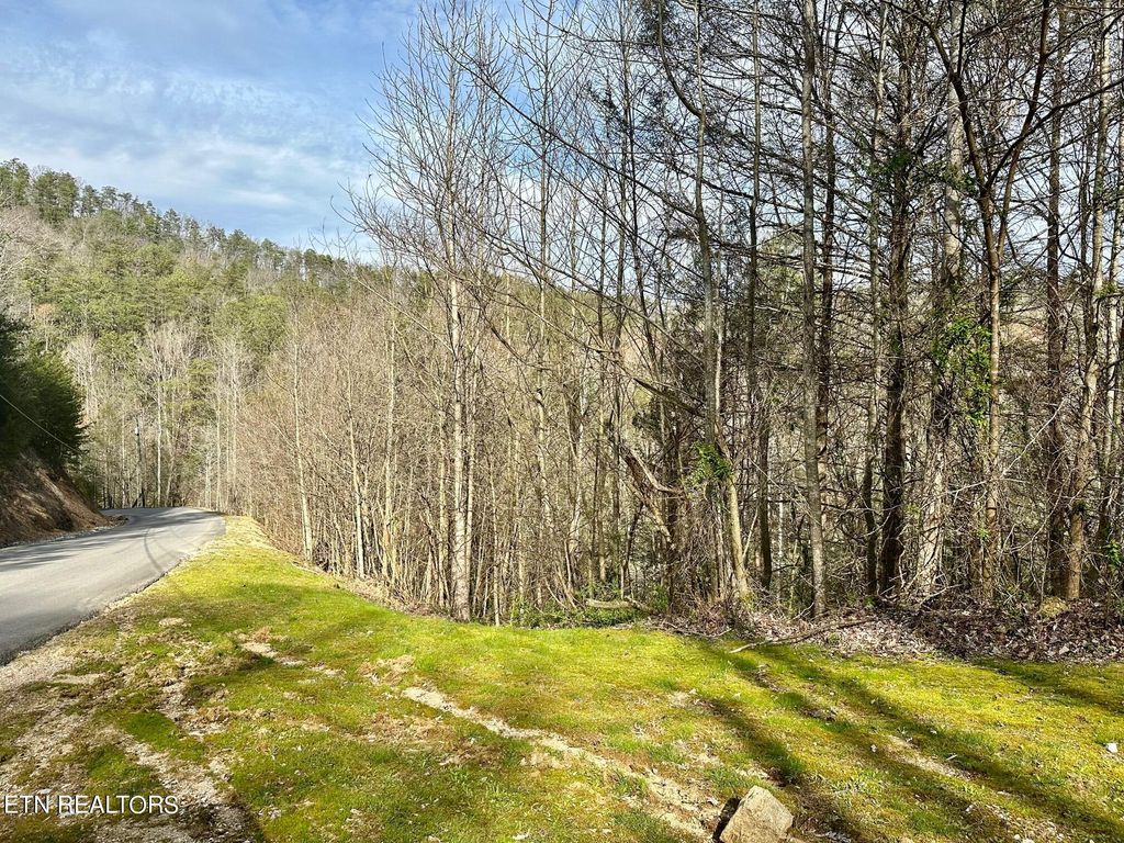 Photo of 1423 Mountain Dreams Way, Sevierville, TN 37862 (MLS # 1331515)