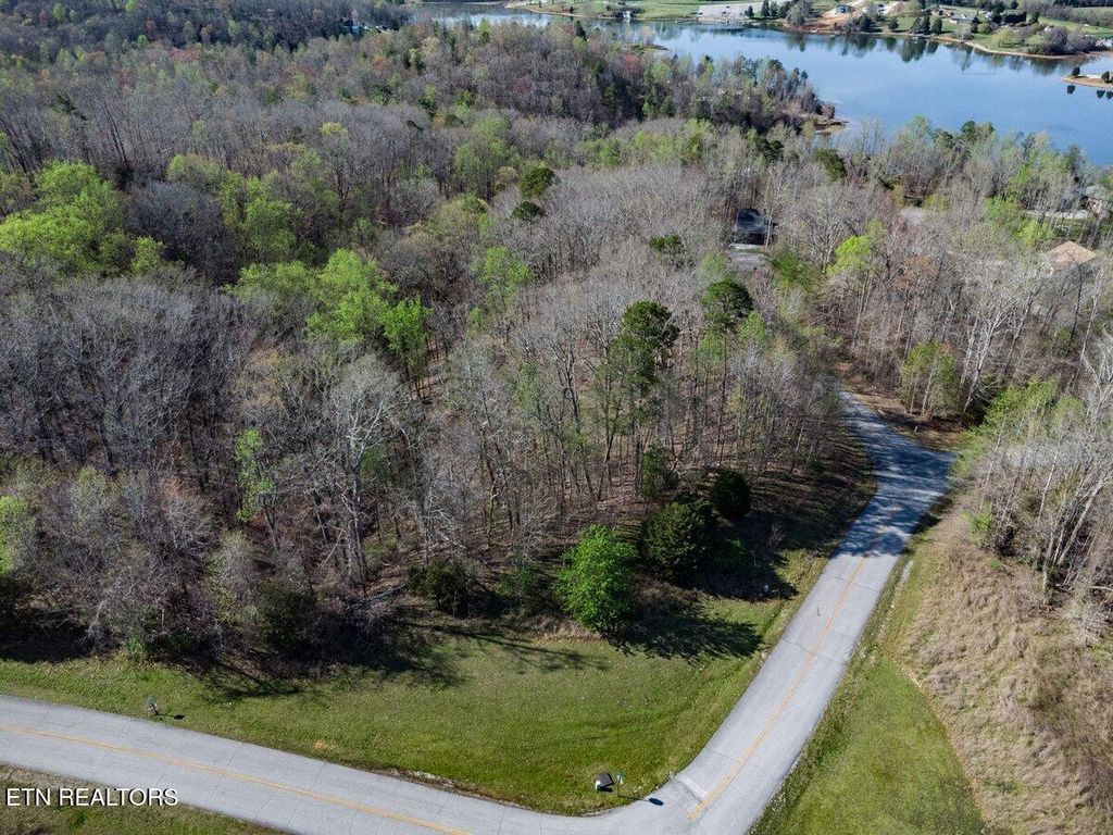Photo of Crystal Springs Rd Lot 209, Rockwood, TN 37854 (MLS # 1053281)