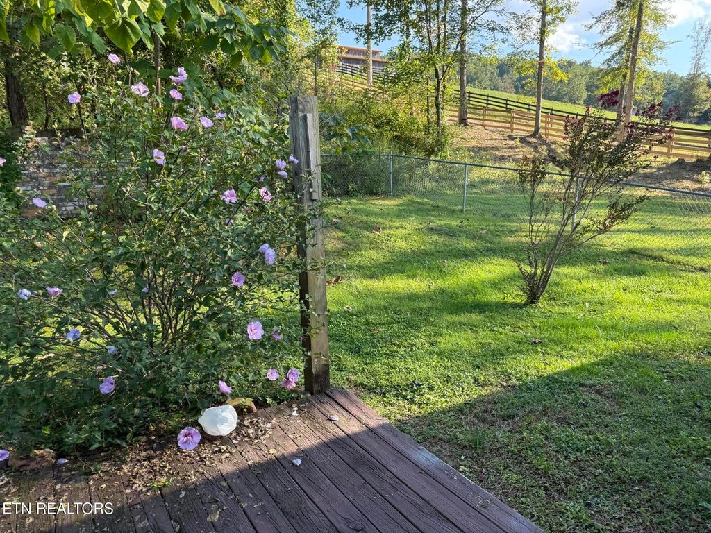 Photo of 3035 W Wolf Valley Rd, Clinton, TN 37716 (MLS # 1315049)