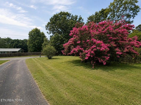 Tiny photo for 1237 Faith Lane, Dandridge, TN 37725 (MLS # 1349995)