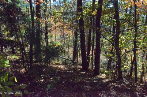 Photo of 36 Mountain Retreat Rd, Townsend, TN 37882 (MLS # 1319377)