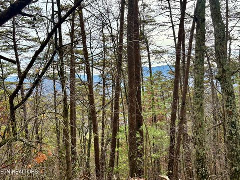 Tiny photo for 36 Mountain Retreat Rd, Townsend, TN 37882 (MLS # 1319377)