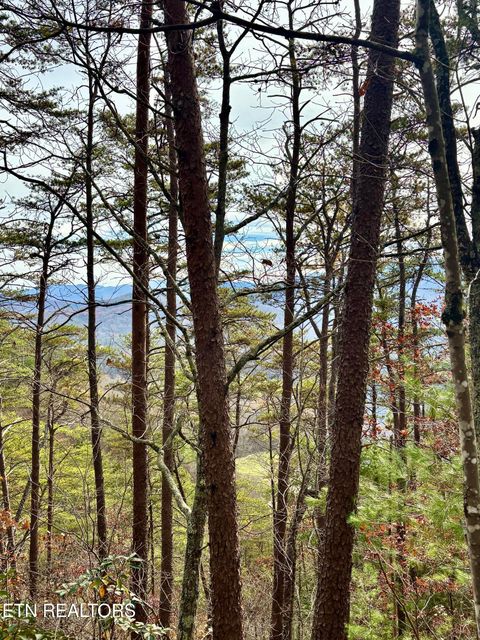 Tiny photo for 36 Mountain Retreat Rd, Townsend, TN 37882 (MLS # 1319377)