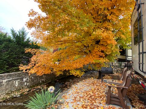 Tiny photo for 4229 East Pkwy, Gatlinburg, TN 37738 (MLS # 1322646)