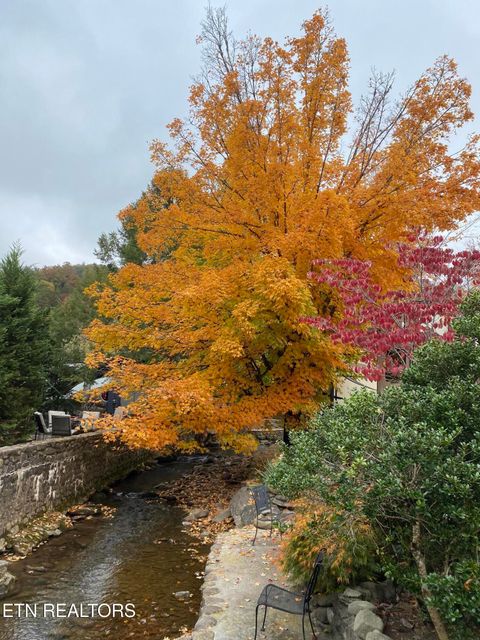 Tiny photo for 4229 East Pkwy, Gatlinburg, TN 37738 (MLS # 1322646)