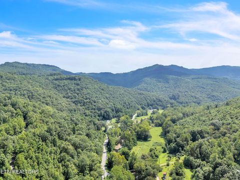 Tiny photo for 5963 New River Hwy, Briceville, TN 37710 (MLS # 1330623)