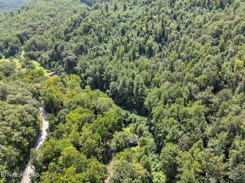 Tiny photo for 5963 New River Hwy, Briceville, TN 37710 (MLS # 1330623)