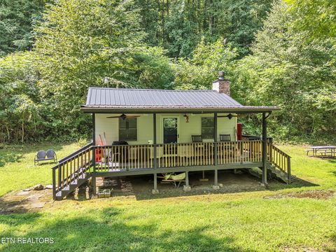 Tiny photo for 5963 New River Hwy, Briceville, TN 37710 (MLS # 1330623)