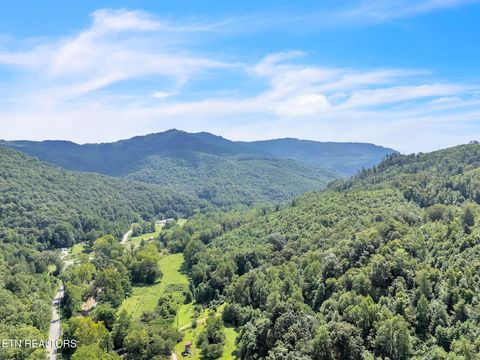 Tiny photo for 5963 New River Hwy, Briceville, TN 37710 (MLS # 1330623)