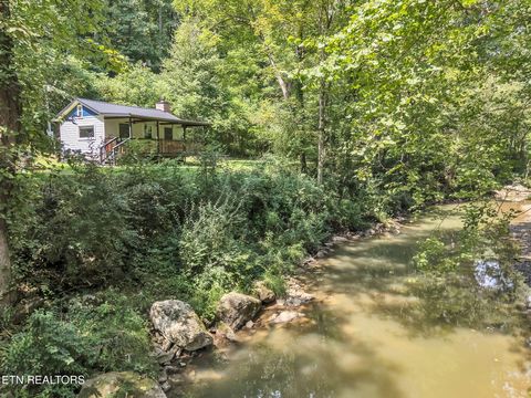 Tiny photo for 5963 New River Hwy, Briceville, TN 37710 (MLS # 1330623)
