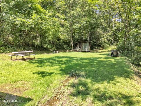 Tiny photo for 5963 New River Hwy, Briceville, TN 37710 (MLS # 1330623)