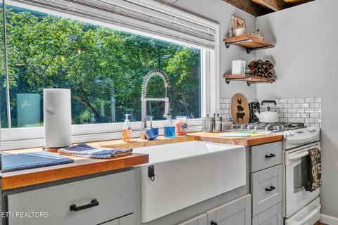 Tiny photo for 5963 New River Hwy, Briceville, TN 37710 (MLS # 1330623)