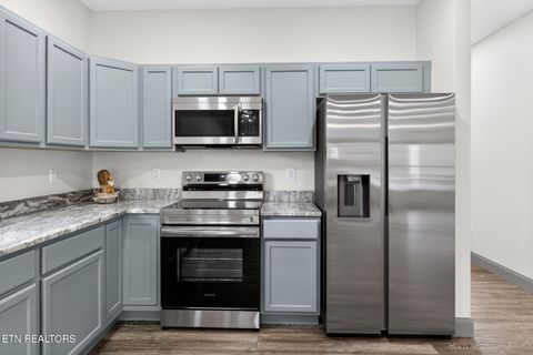 Tiny photo for 201 Cedar St, Loudon, TN 37774 (MLS # 1326941)