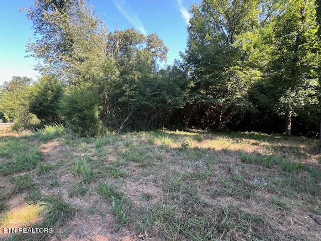 Photo of E Shore Drive, Rockwood, TN 37854 (MLS # 1269762)