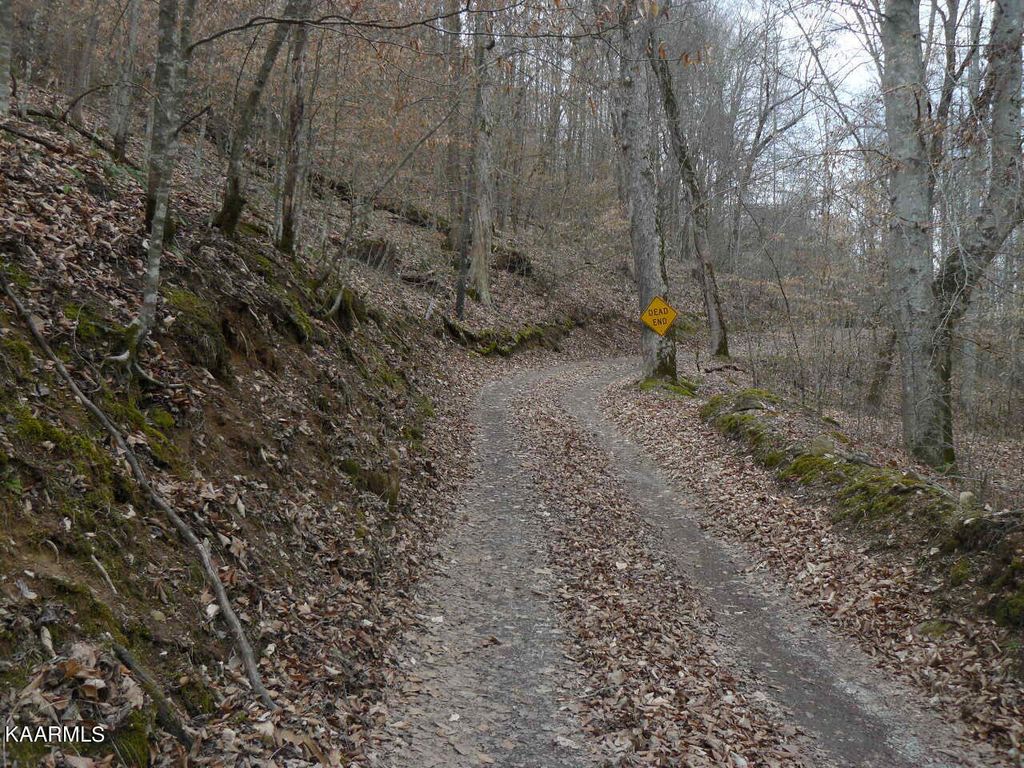 Photo of 958 Jennie Tolbert Lane, Tazewell, TN 37879 (MLS # 1233150)