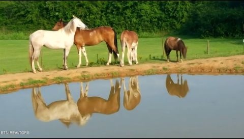 Tiny photo for 840 Jordan Rd, Decatur, TN 37322 (MLS # 1329507)