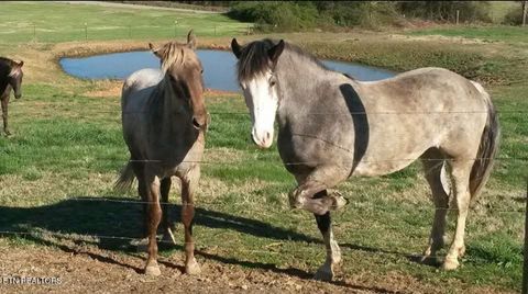 Tiny photo for 840 Jordan Rd, Decatur, TN 37322 (MLS # 1329507)