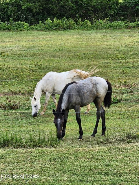 Tiny photo for 840 Jordan Rd, Decatur, TN 37322 (MLS # 1329507)