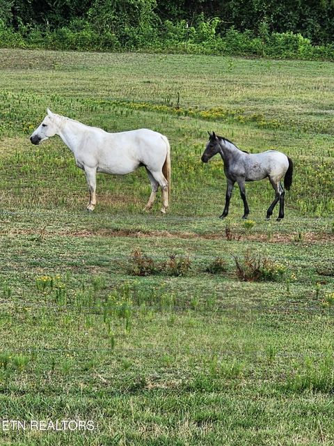 Tiny photo for 840 Jordan Rd, Decatur, TN 37322 (MLS # 1329507)