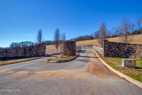 Tiny photo for The Gates Drive, Decatur, TN 37322 (MLS # 1324724)