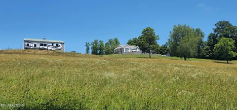 Tiny photo for 447 Walker Rd, Sharps Chapel, TN 37866 (MLS # 1343913)