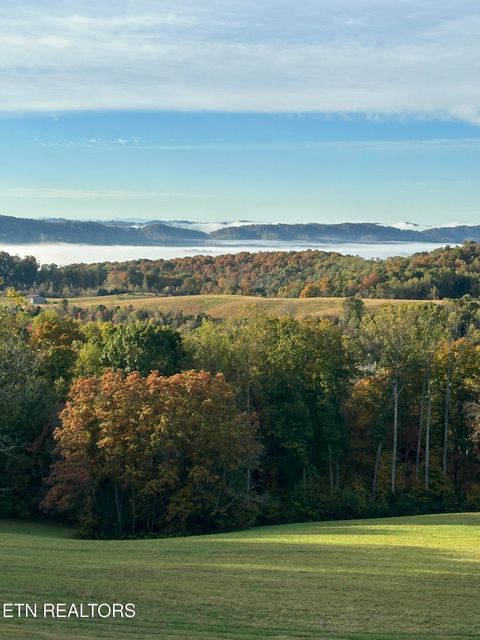 Tiny photo for 447 Walker Rd, Sharps Chapel, TN 37866 (MLS # 1343913)